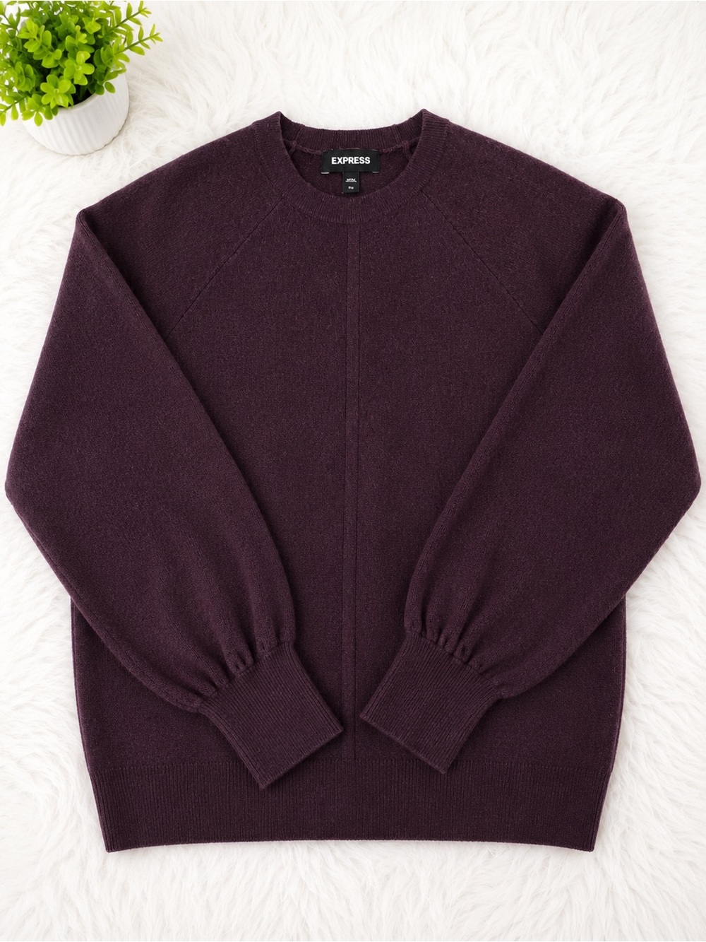 Express Women’s Crewneck Sweater in Plum